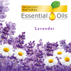 Plug in Scented Oil Refill, 5 ct, Lavender and Chamomile, Air Freshener, Essential Oils