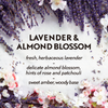 Essential Mist Starter Kit (Diffuser + Refill), Lavender and Almond Blossom